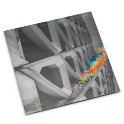 The Irresistible Art Of Space Colonization And Its Mutation Implications (LP)