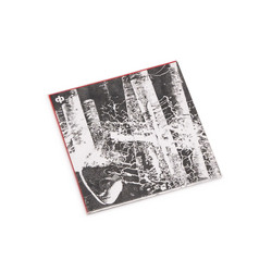 I See Better With My Eyes Closed / Ich Kann Gar Nicht So Viel Fressen Wie Ich Kotzen Möchte (flexi-disc)