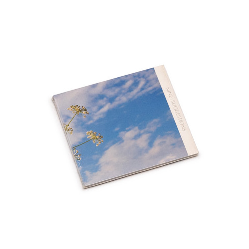 Nine Suggestions (CD)
