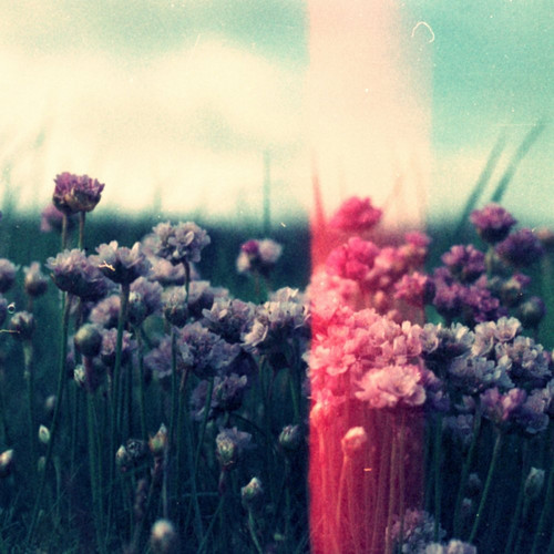 The Catastrophe Machine