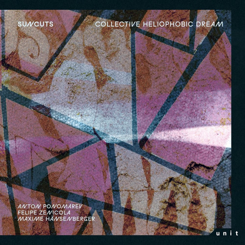  Collective Heliophobic Dream 