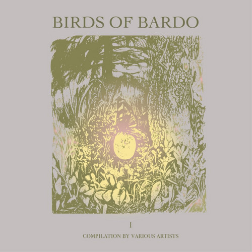 Birds of Bardo