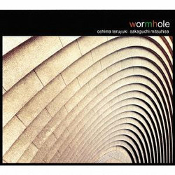 Wormhole