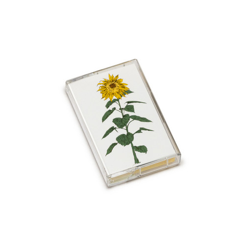 Music To Watch Seeds Grow By 007: Brian D'souza (Sunflowers)