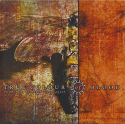 Awakened To Never Sleep Again (CDr)