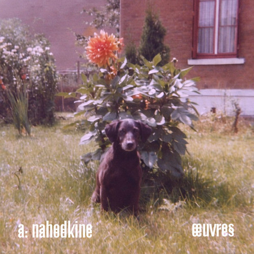 Œuvres