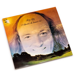 A Rainbow In Curved Air (LP)