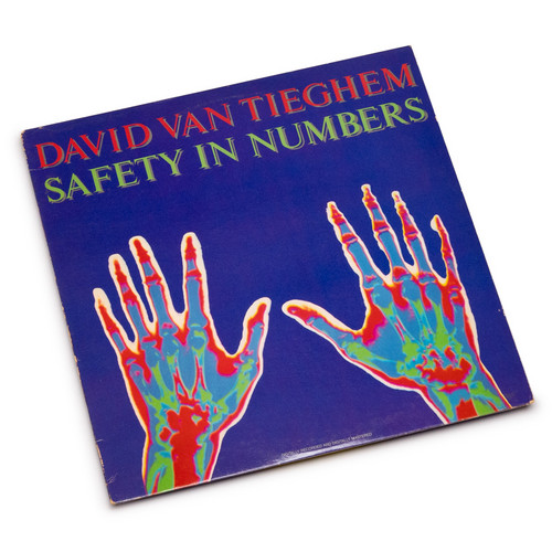 Safety In Numbers (LP)
