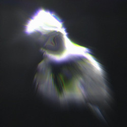 Asteroid*