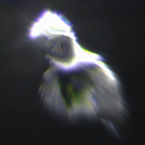 Asteroid*