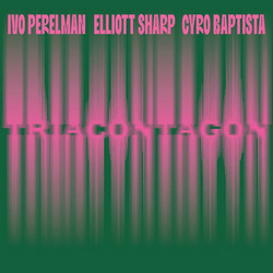 Triacontagon