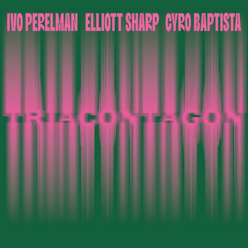 Triacontagon