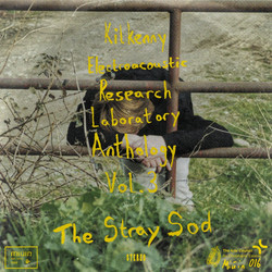 Kilkenny Electroacoustic Research Laboratory Anthology Vol. 3 - The Stray Sod 