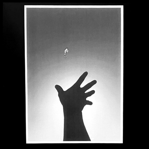 Kite
