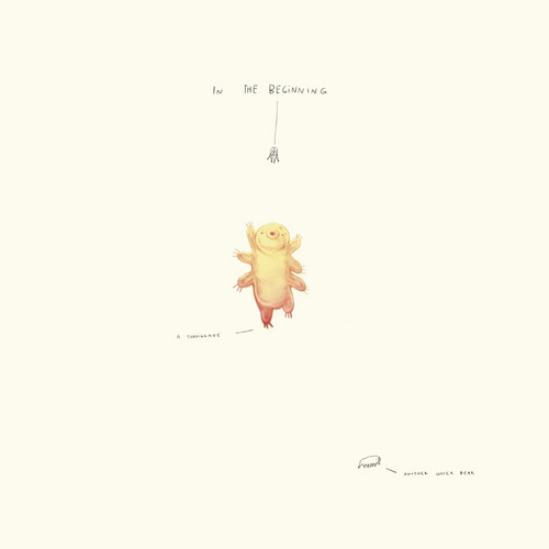 In the Beginning