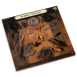 Schmetterlinge (LP)
