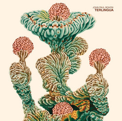 Terlingua