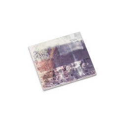 Vestige