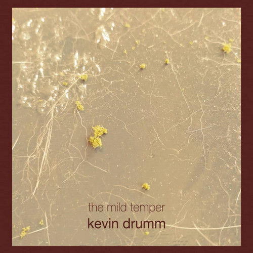 The Mild Temper
