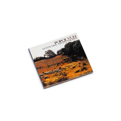 Letzte Tage Letzte Nächte (LP)