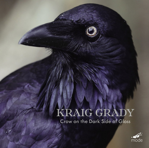  Crow on the Dark Side of Gloss 