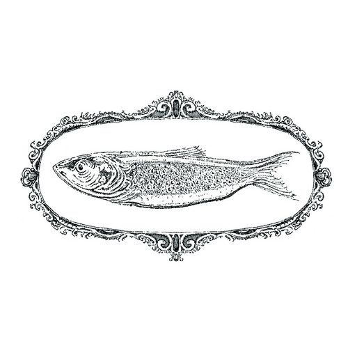 Glasfisk 