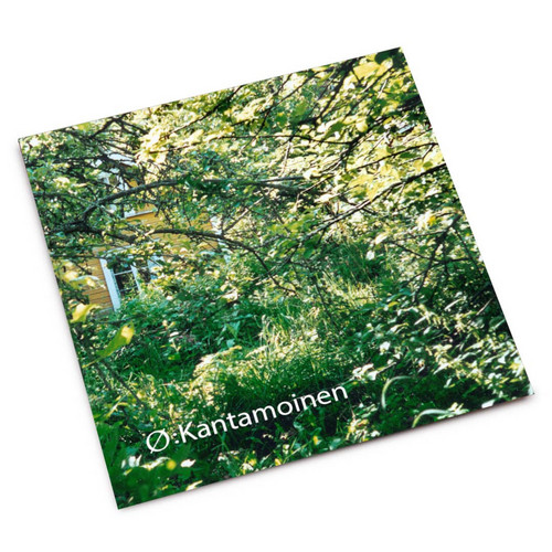 Kantamoinen