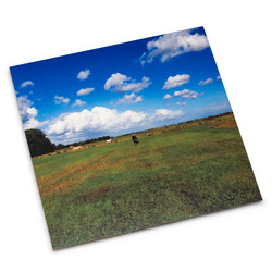 The Hilvarenbeek Recordings