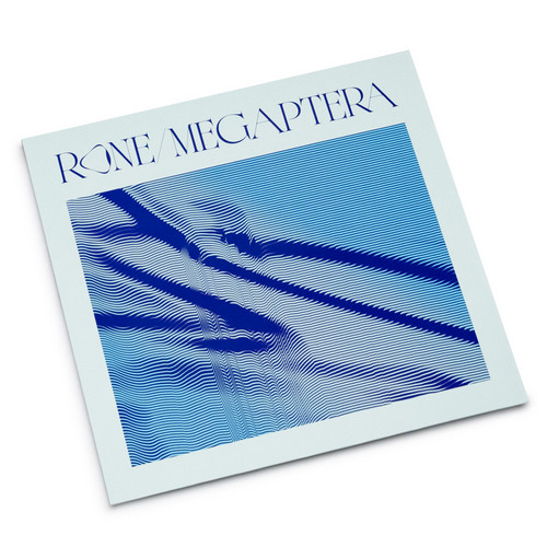 Megaptera
