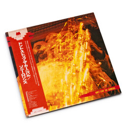Don't Stop The Carnival (2LP)