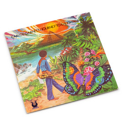 Journey To Enlightenment (LP)