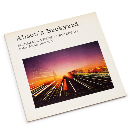 Alison's Backyard (LP)