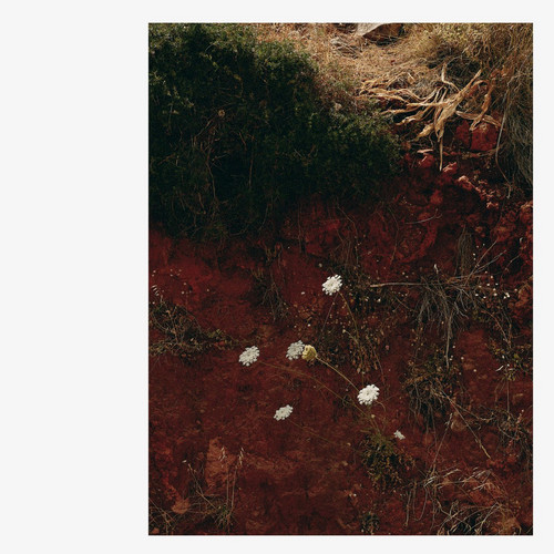  AT/DC 