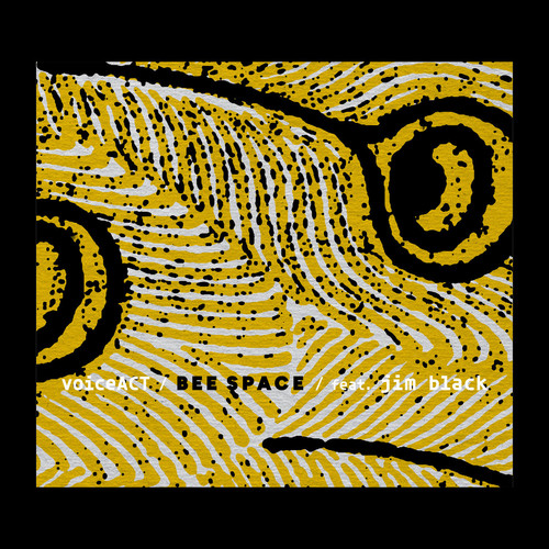Bee Space