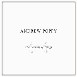The Beating of Wings