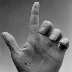 Vibractions, 1978 - 2012