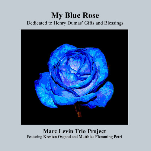 My Blue Rose
