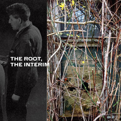 The Root, The Interim