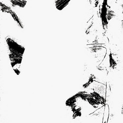 Between soil and signal 