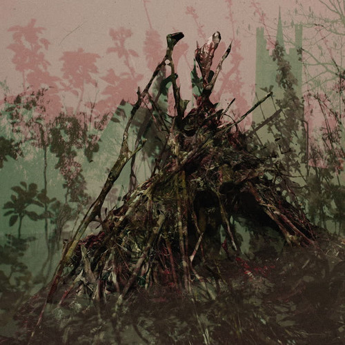  Acid Heath