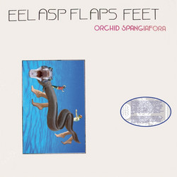 Eel Asp Flaps Feet