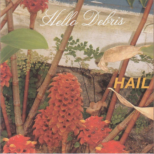 Hello Debris