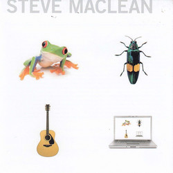 Frog Bug Guitar Computer