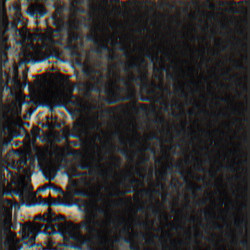The Forest, The People And The Spirits