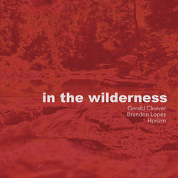 In The Wilderness 