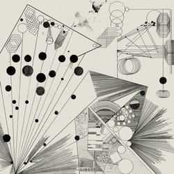 Murmuration Without End 