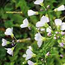Millefleurs