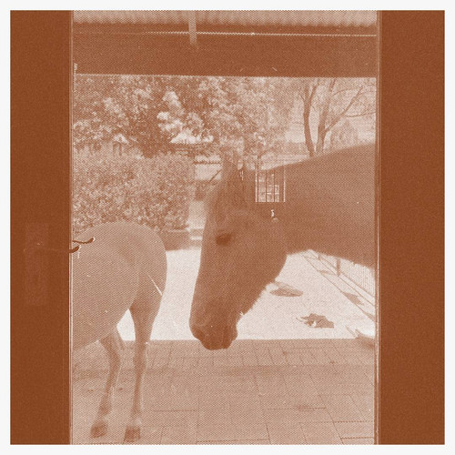 Country / The Country