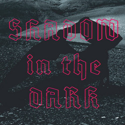 Shadow In The Dark