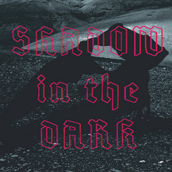 Shadow In The Dark